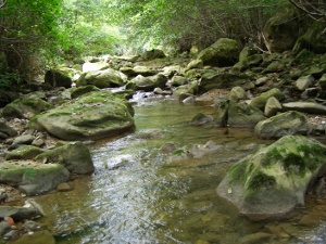 Ozollo Errota marea-errota (Gautegiz Arteaga).